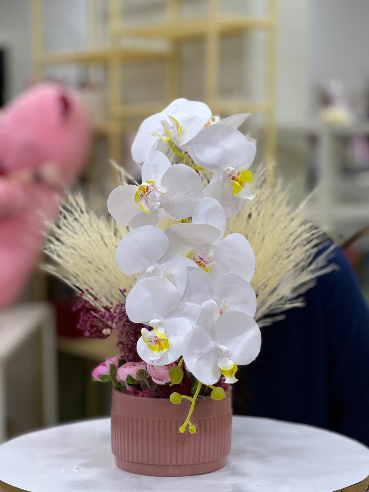 Blush Bloom